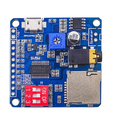 DY - SV5W Voice Playback MP3 Music Player Amplifier Module 5W SD/TF Card UART I/O - Envistia Mall