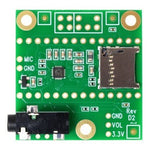 Audio Adapter Shield Rev D2 for Teensy 4.0 and Teensy 4.1 Microcontroller - Envistia Mall